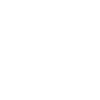 Home secure shield